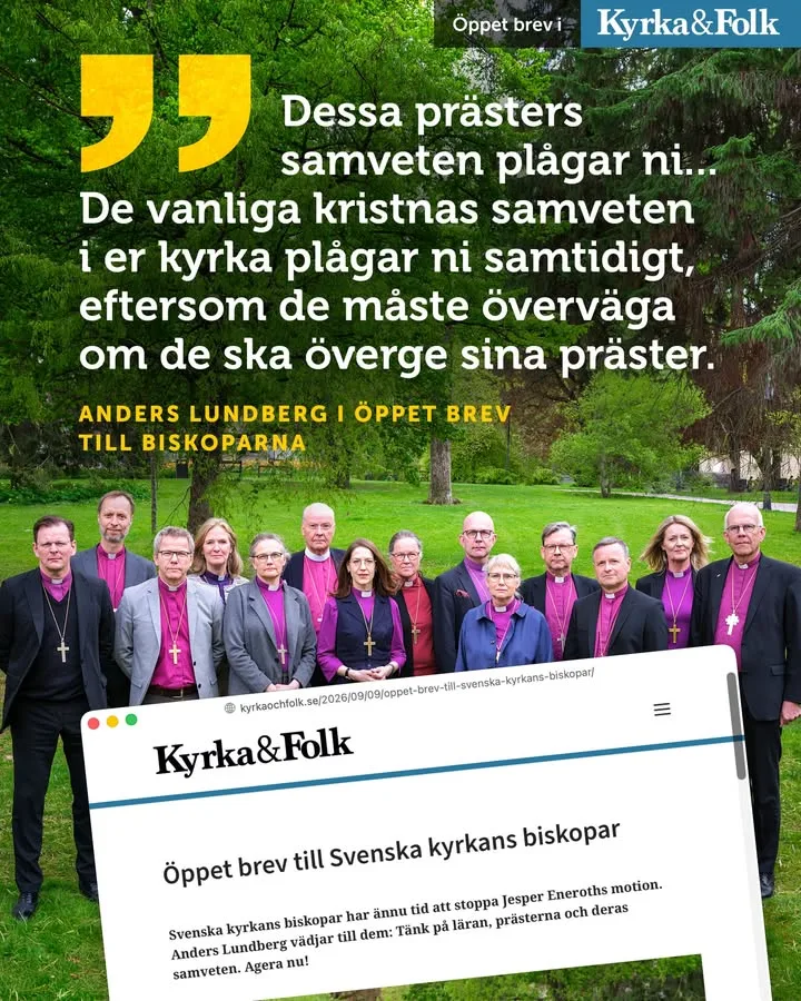 ✉️ Öppet brev till biskoparna: agera nu, tänk på läran, prästerna, lekfolket…
